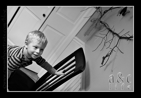 jesseblog-012 jesseblog-012